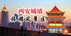 骚女大奶子15P中国陕西-西安城墙旅游风景区